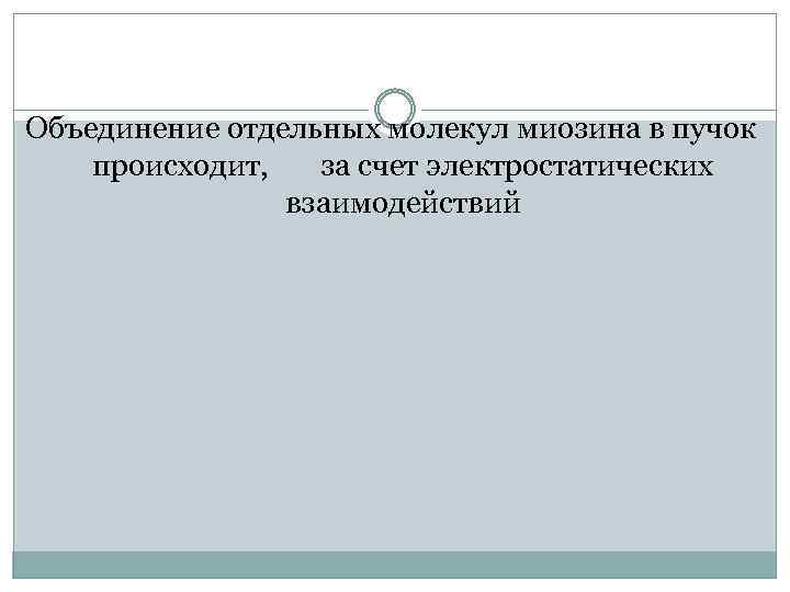 Объединение отдельных молекул миозина в пучок происходит, за счет электростатических взаимодействий 