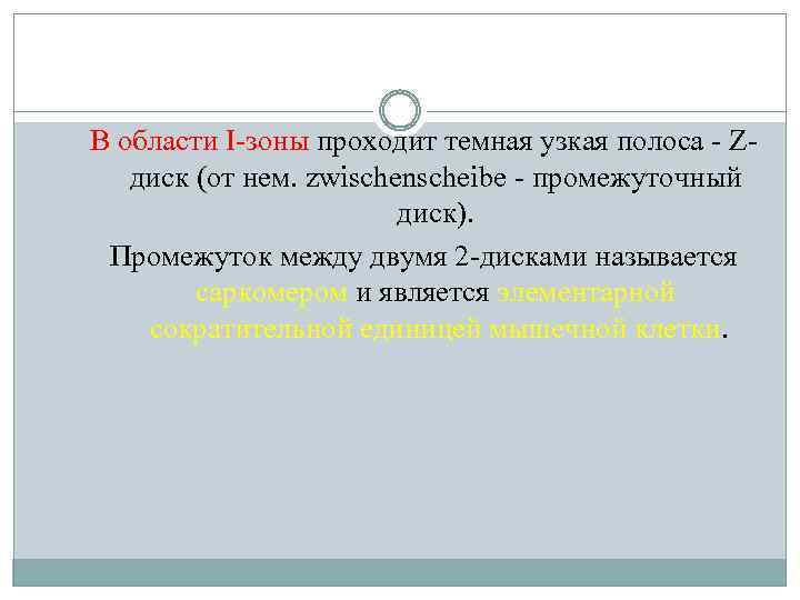 В области I-зоны проходит темная узкая полоса - Zдиск (от нем. zwischenscheibe - промежуточный