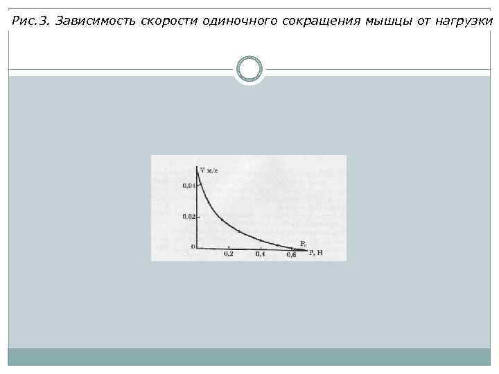 Рис. 3. Зависимость скорости одиночного сокращения мышцы от нагрузки 