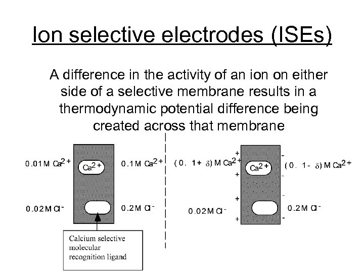 Ion selective electrodes (ISEs) A difference in the activity of an ion on either