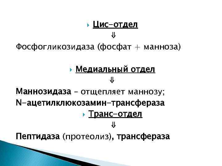 Цис-отдел ⇓ Фосфогликозидаза (фосфат + манноза) Медиальный отдел ⇓ Маннозидаза – отщепляет маннозу; N-ацетилклюкозамин-трансфераза