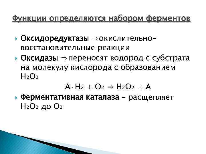 Функции определяются набором ферментов Оксидоредуктазы ⇒окислительновосстановительные реакции Оксидазы ⇒переносят водород с субстрата на молекулу