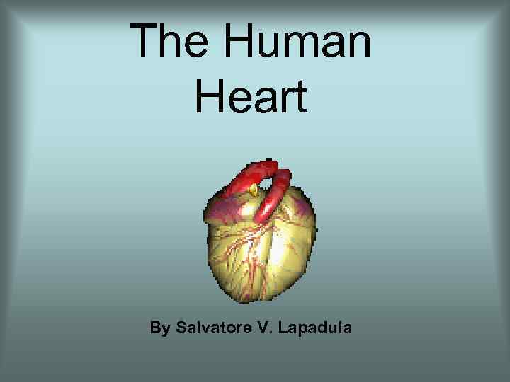 The Human Heart By Salvatore V. Lapadula 