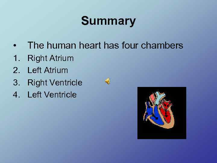 Summary • The human heart has four chambers 1. 2. 3. 4. Right Atrium