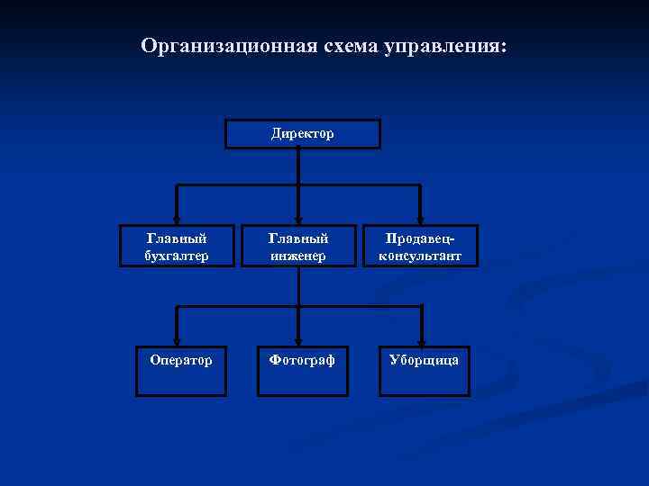 Организационная схема управления: Директор Главный бухгалтер Главный инженер Продавецконсультант Оператор Фотограф Уборщица 