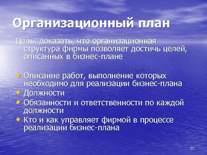 Организационный план Цель: доказать, что организационная структура фирмы позволяет достичь целей, описанных в бизнес-плане