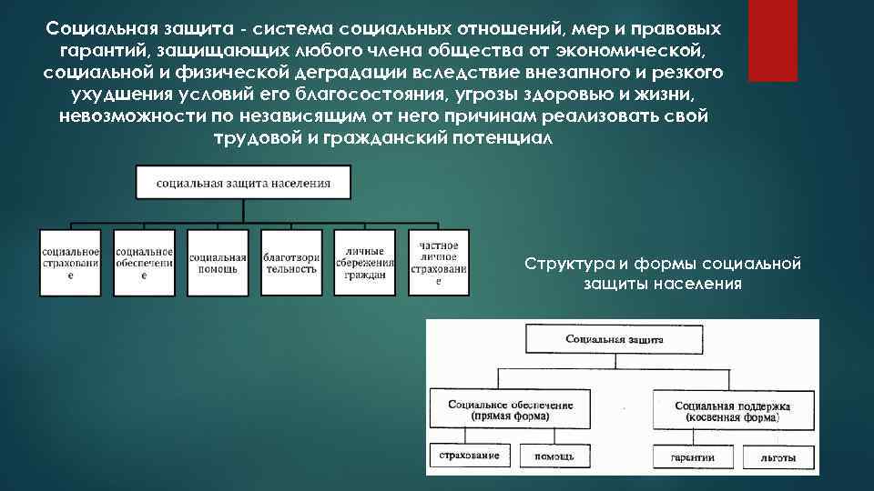 Система социальной защиты населения. Система социальной защиты. База данных социальной защиты населения. АИС социальная защита. Меры соц защиты населения.