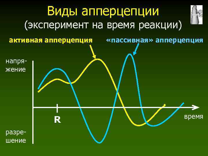 Виды апперцепции (эксперимент на время реакции) активная апперцепция «пассивная» апперцепция напряжение R разрешение время