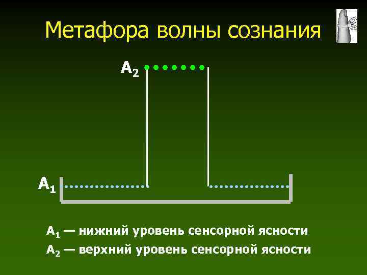 Метафора волны сознания А 2 А 1 — нижний уровень сенсорной ясности А 2