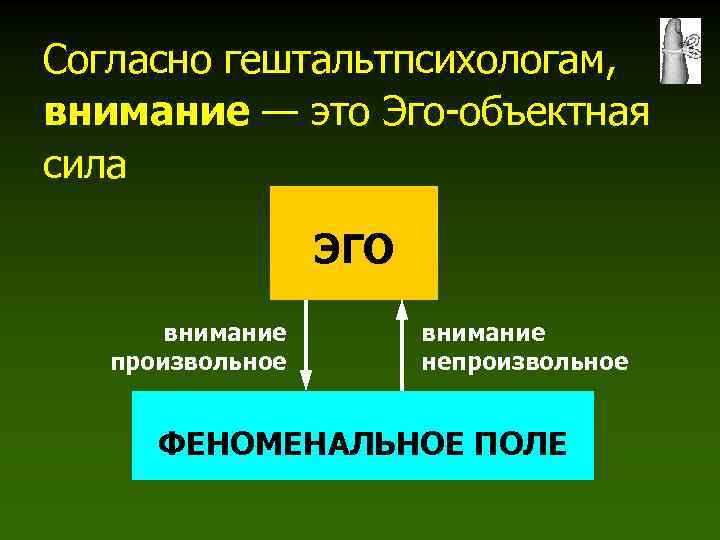 Согласно гештальтпсихологам, внимание — это Эго-объектная сила ЭГО внимание произвольное внимание непроизвольное ФЕНОМЕНАЛЬНОЕ ПОЛЕ