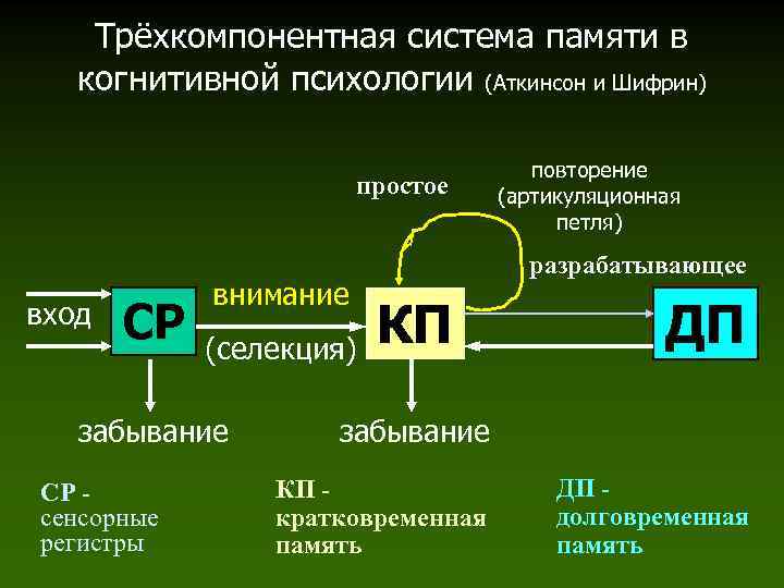 Схема памяти по р аткинсону и р шифрину