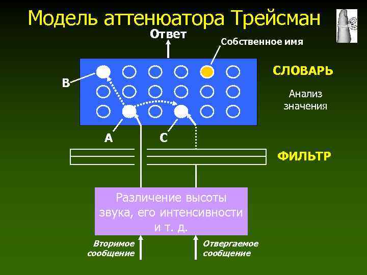 Модель аттенюатора Трейсман Ответ Собственное имя СЛОВАРЬ B Анализ значения A C ФИЛЬТР Различение