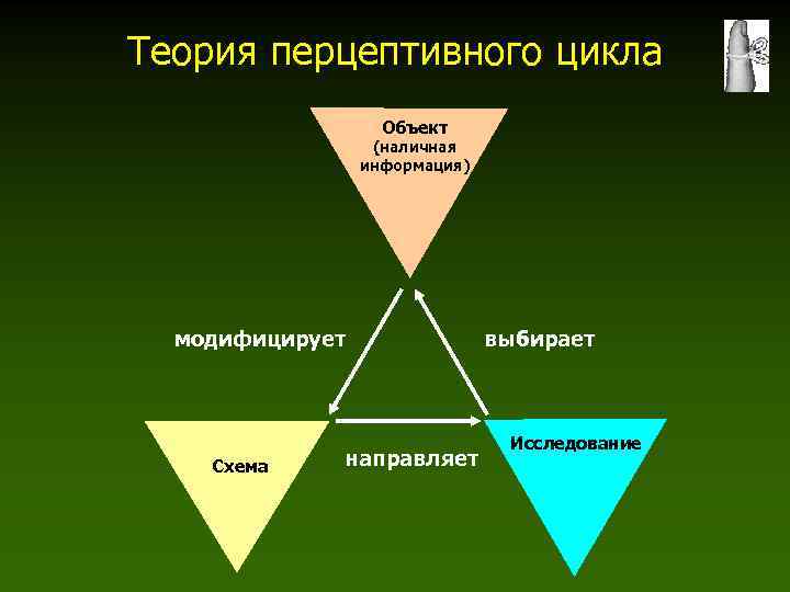 Перцептивная схема и перцептивный цикл