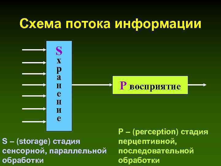 Перед вами схема потока информации определите количество возможных путей из пункта в пункт ответ