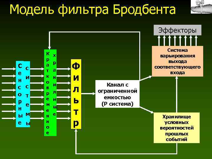 Модель фильтра Бродбента Эффекторы С е н с о р н ы е с