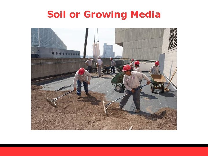 Soil or Growing Media 