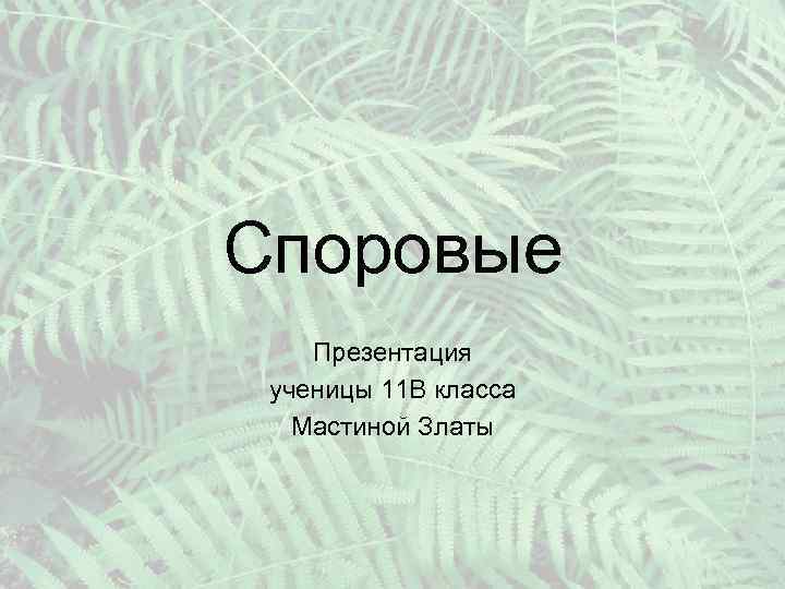Споровые Презентация ученицы 11 В класса Мастиной Златы 