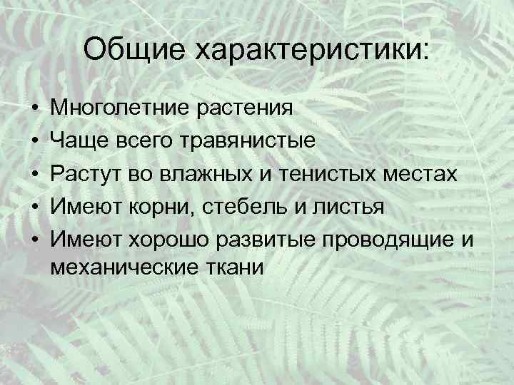Общие характеристики: • • • Многолетние растения Чаще всего травянистые Растут во влажных и