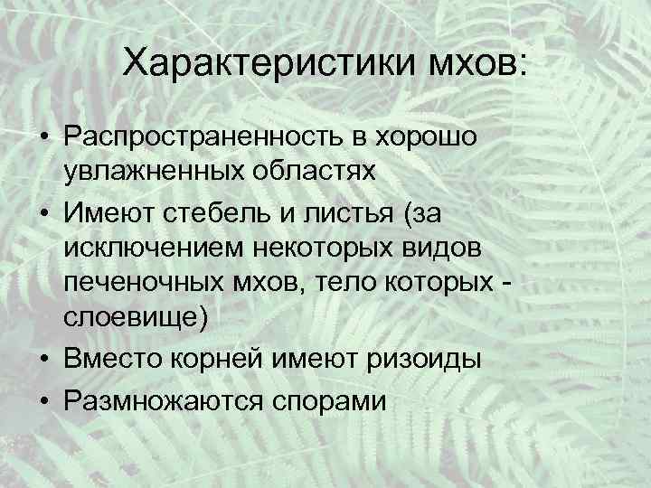 Характеристики мхов: • Распространенность в хорошо увлажненных областях • Имеют стебель и листья (за