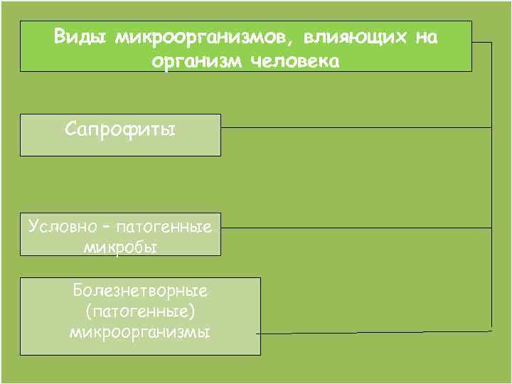 Виды микроорганизмов, влияющих на организм человека Сапрофиты Условно – патогенные микробы Болезнетворные (патогенные) микроорганизмы