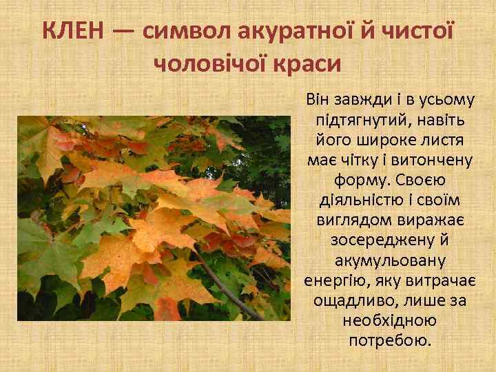 КЛЕН — символ акуратної й чистої чоловічої краси Він завжди і в усьому підтягнутий,