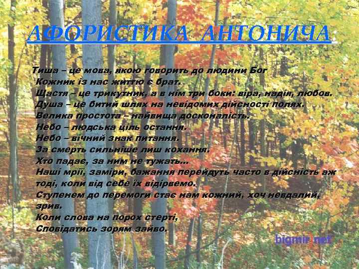 АФОРИСТИКА АНТОНИЧА: Тиша – це мова, якою говорить до людини Бог Кожник із нас