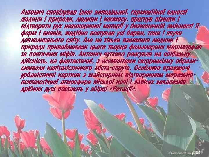 Антонич сповідував ідею неподільної, гармонійної єдності людини і природи, людини і космосу, прагнув пізнати