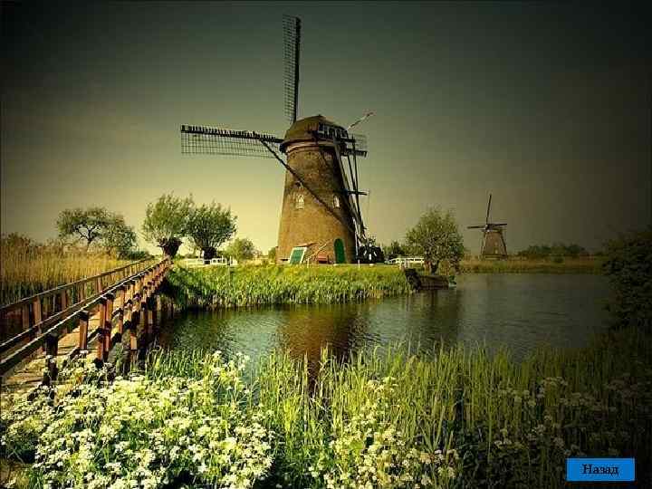  Назад 