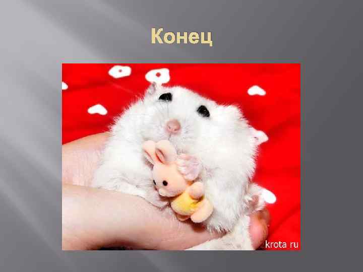 Конец 