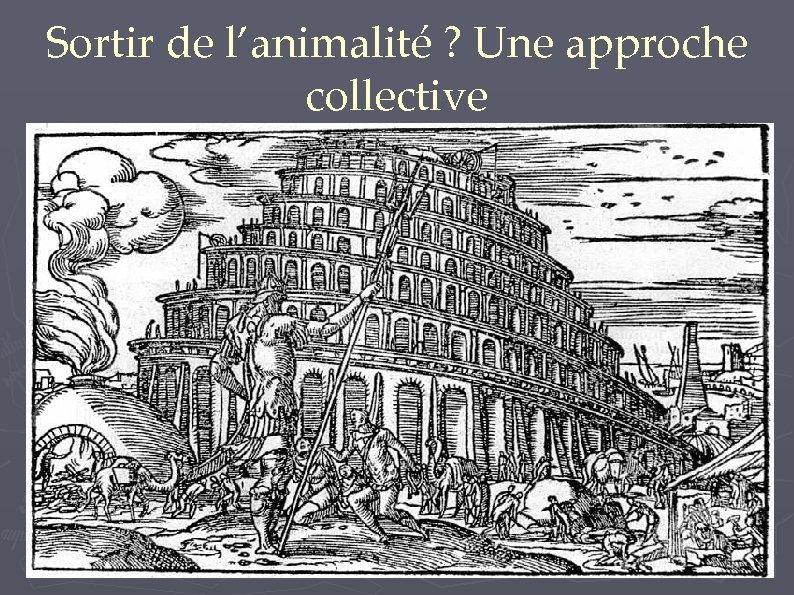 Sortir de l’animalité ? Une approche collective 