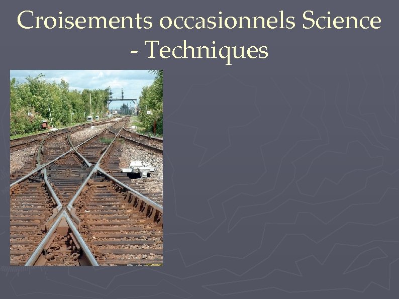 Croisements occasionnels Science - Techniques 