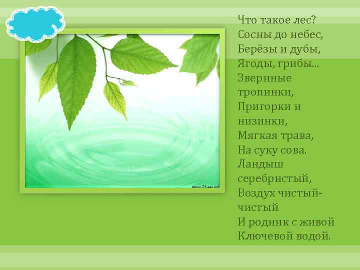 Что такое лес? Сосны до небес, Берёзы и дубы, Ягоды, грибы. . . Звериные