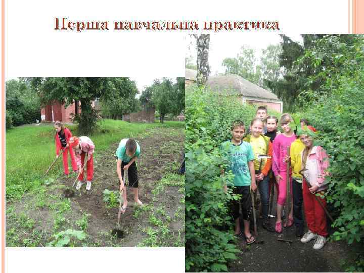 Перша навчальна практика 