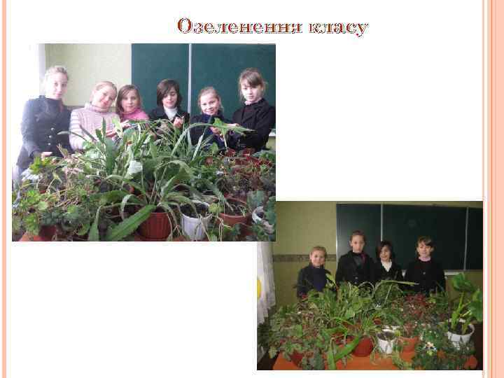 Озеленення класу 