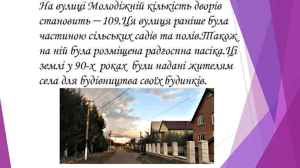 На вулиці Молодіжній кількість дворів становить — 109. Ця вулиця раніше була частиною сільських