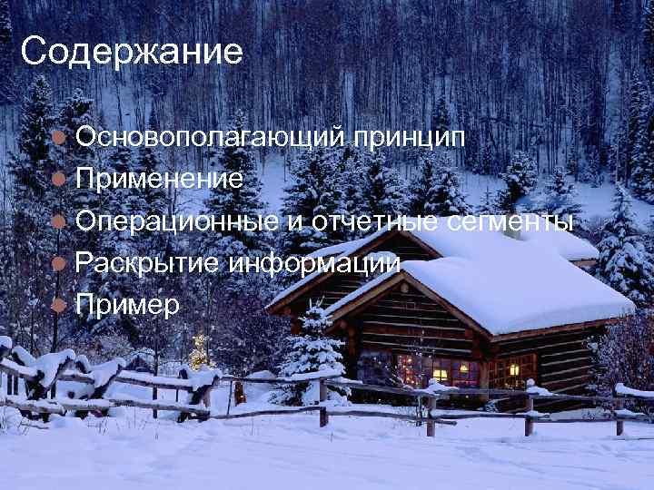 Содержание Основополагающий принцип Применение Операционные и отчетные сегменты Раскрытие информации Пример 