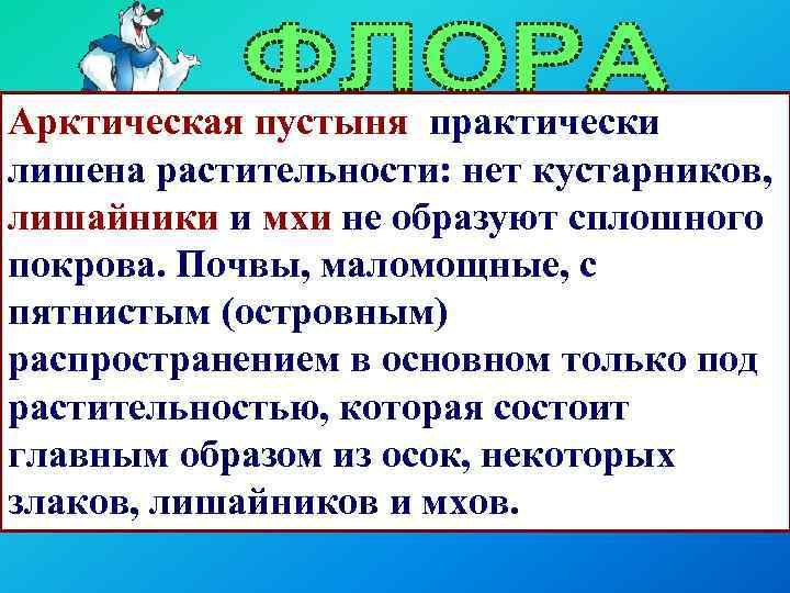 Арктическая пустыня практически лишена растительности: нет кустарников, лишайники и мхи не образуют сплошного покрова.