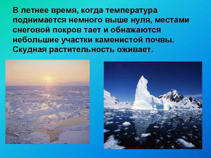 В летнее время, когда температура поднимается немного выше нуля, местами снеговой покров тает и