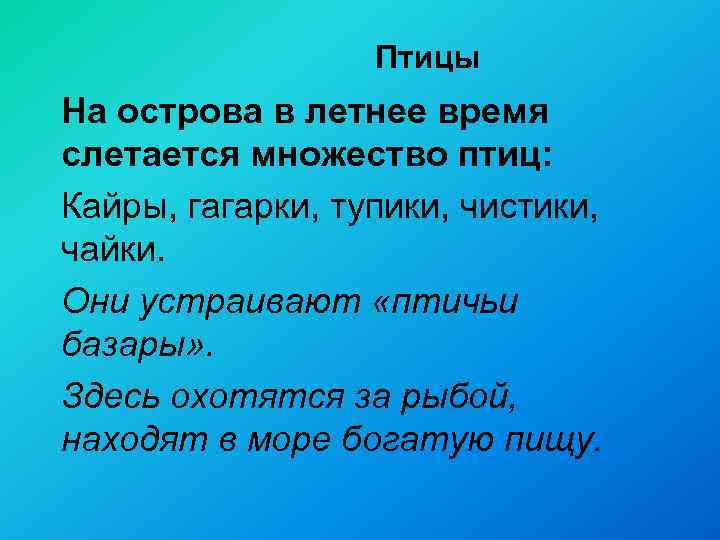 Птицы На острова в летнее время слетается множество птиц: Кайры, гагарки, тупики, чистики, чайки.