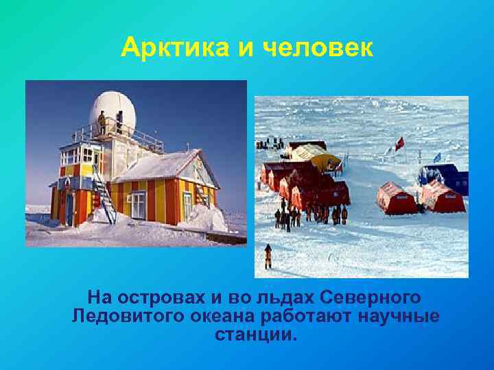 Арктика и человек На островах и во льдах Северного Ледовитого океана работают научные станции.