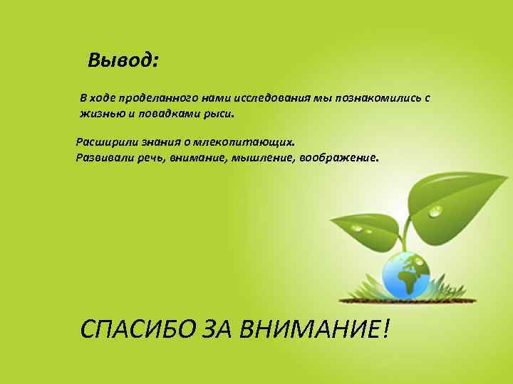 Вывод: В ходе проделанного нами исследования мы познакомились с жизнью и повадками рыси. Расширили