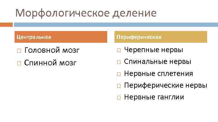 Морфологическое деление Центральная Головной мозг Спинной мозг Периферическая Черепные нервы Спинальные нервы Нервные сплетения