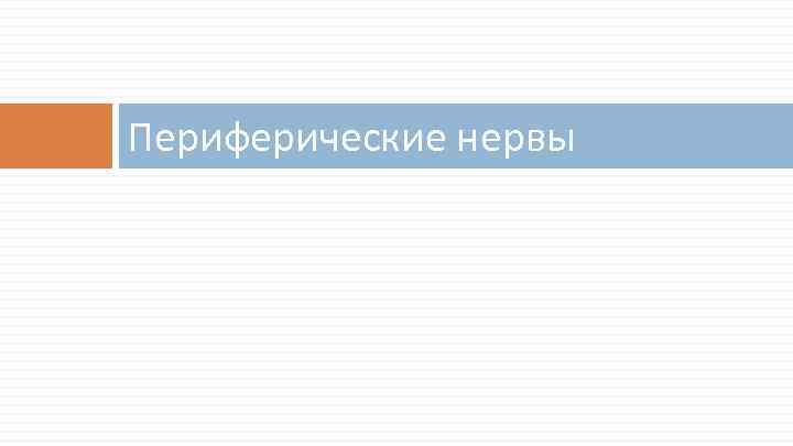 Периферические нервы 