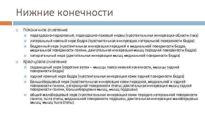Нижние конечности Поясничное сплетение подвздошно-подчревный, подвздошно-паховый нервы (чувствительная иннервация области паха) латеральный кожный нерв