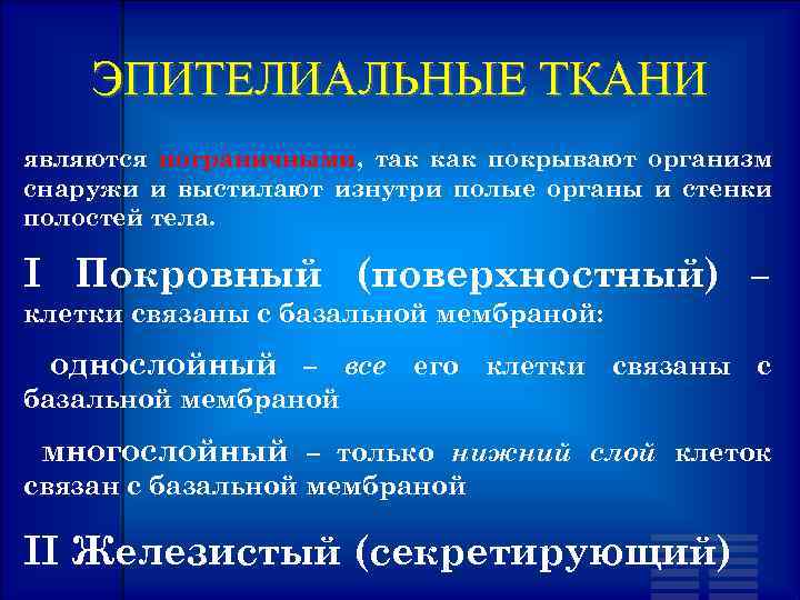 ЭПИТЕЛИАЛЬНЫЕ ТКАНИ являются пограничными, так как покрывают организм снаружи и выстилают изнутри полые органы