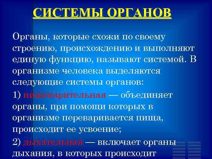 СИСТЕМЫ ОРГАНОВ Органы, которые схожи по своему строению, происхождению и выполняют единую функцию, называют