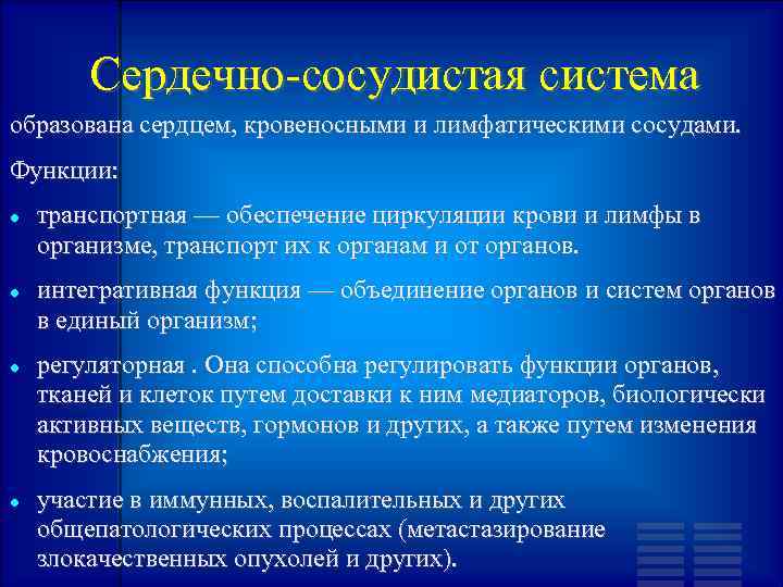 Сердечно-сосудистая система образована сердцем, кровеносными и лимфатическими сосудами. Функции: транспортная — обеспечение циркуляции крови