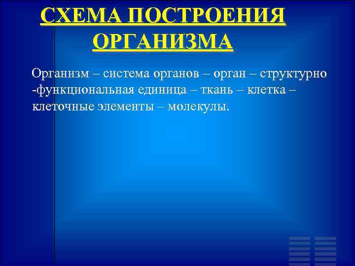 СХЕМА ПОСТРОЕНИЯ ОРГАНИЗМА Организм – система органов – орган – структурно -функциональная единица –