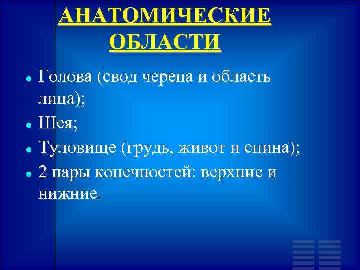 АНАТОМИЧЕСКИЕ ОБЛАСТИ Голова (свод черепа и область лица); Шея; Туловище (грудь, живот и спина);