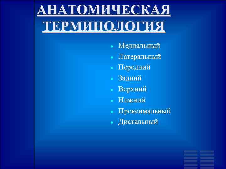 АНАТОМИЧЕСКАЯ ТЕРМИНОЛОГИЯ Медиальный Латеральный Передний Задний Верхний Нижний Проксимальный Дистальный 